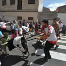 ppsantamarta
