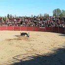 ppsantamarta
