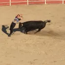ppsantamarta